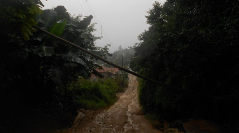 Entre as ocorrências, no bairro São Martinho uma pedra deslocou uma árvore de pequeno porte.