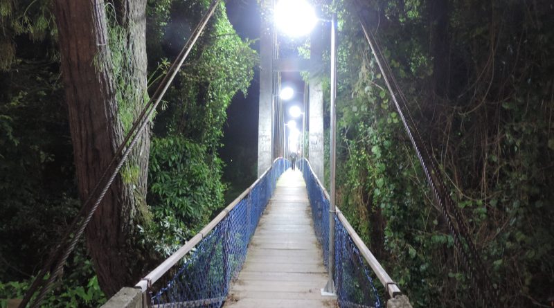 Nova iluminação garantirá mais segurança aos usuários da ponte