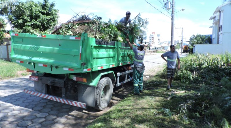 As árvores das praças Ari da Silva Canez e Sete de Setembro estão recebendo os serviços de poda de árvores.