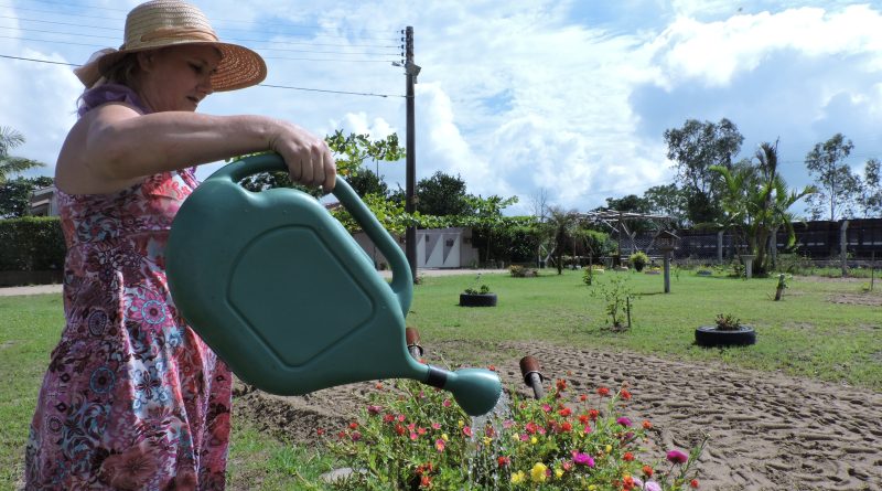 Os moradores iniciaram a revitalização com plantio de diversas árvores, entre elas, frutíferas, ornamentais e também de paisagismo.