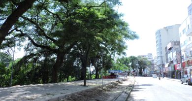 Nessa quarta-feira (9) os trabalhos de poda se concentraram na avenida Marechal Deodoro, próximo a ponte Nereu Ramos.