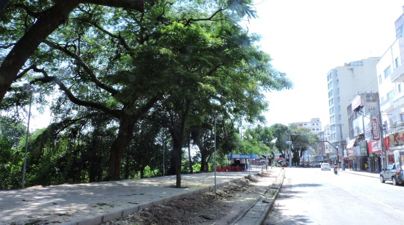 Nessa quarta-feira (9) os trabalhos de poda se concentraram na avenida Marechal Deodoro, próximo a ponte Nereu Ramos.