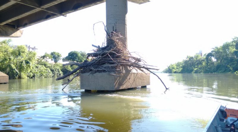 Pilastras das pontes sobre o Rio Tubarão foram limpas pela Defesa Civil