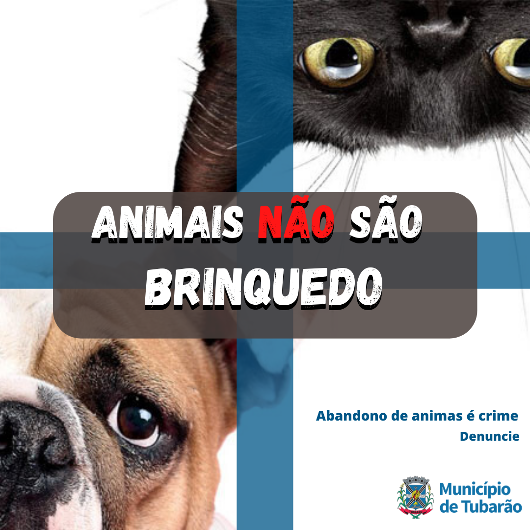 Abandono e maus-tratos aos animais é crime – CRMV-RJ