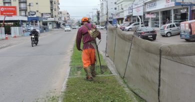 A avenida Patrício Lima recebeu corte de grama do canteiro central.