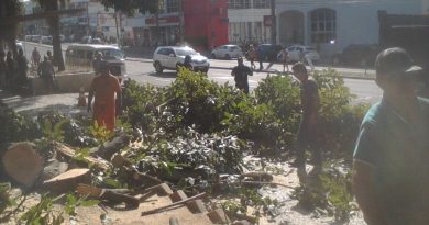 Para dar ínicio às obras, as equipes da secretaria de Infraestrutura já começaram a retirar as árvores que atrapalhariam os trabalhos.