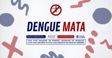 Focos do mosquito transmissor da dengue chegam a 232 em Tubarão